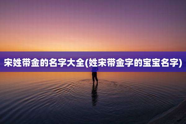 宋姓带金的名字大全(姓宋带金字的宝宝名字)