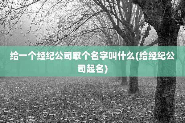 给一个经纪公司取个名字叫什么(给经纪公司起名)