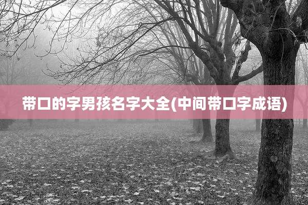 带口的字男孩名字大全(中间带口字成语)