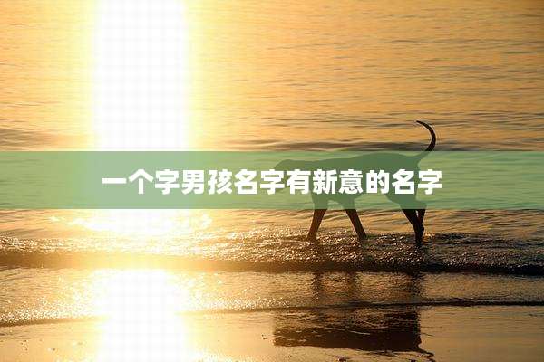 一个字男孩名字有新意的名字