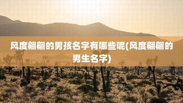 风度翩翩的男孩名字有哪些呢(风度翩翩的男生名字)