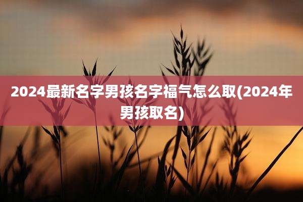 2024最新名字男孩名字福气怎么取(2024年男孩取名)