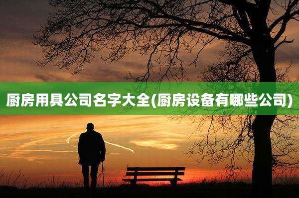 厨房用具公司名字大全(厨房设备有哪些公司)