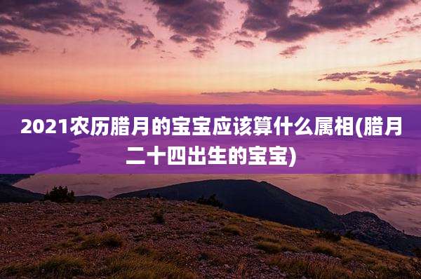 2021农历腊月的宝宝应该算什么属相(腊月二十四出生的宝宝)