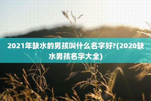 2021年缺水的男孩叫什么名字好?(2020缺水男孩名字大全)