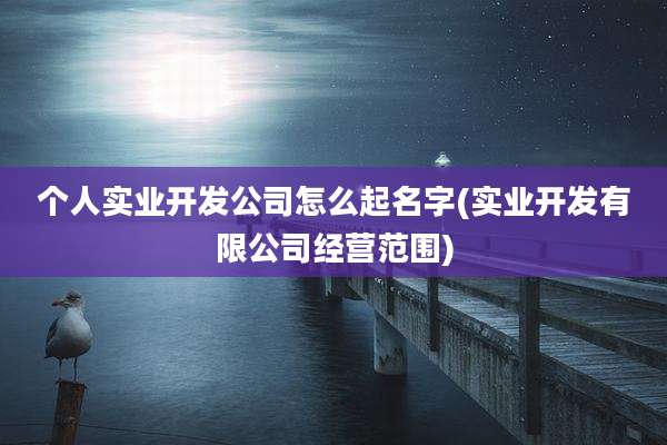 个人实业开发公司怎么起名字(实业开发有限公司经营范围)