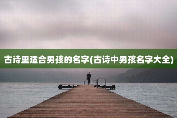 古诗里适合男孩的名字(古诗中男孩名字大全)