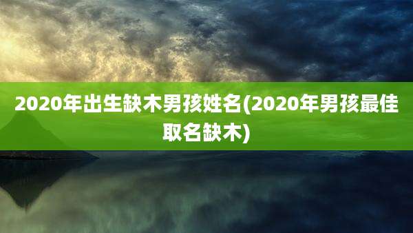 2020年出生缺木男孩姓名(2020年男孩最佳取名缺木)