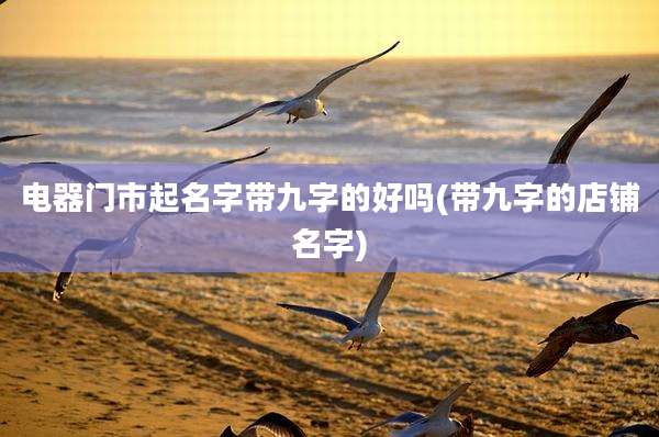 电器门市起名字带九字的好吗(带九字的店铺名字)
