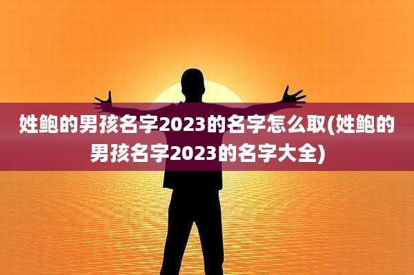 姓鲍的男孩名字2023的名字怎么取(姓鲍的男孩名字2023的名字大全)