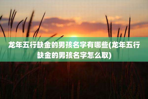 龙年五行缺金的男孩名字有哪些(龙年五行缺金的男孩名字怎么取)