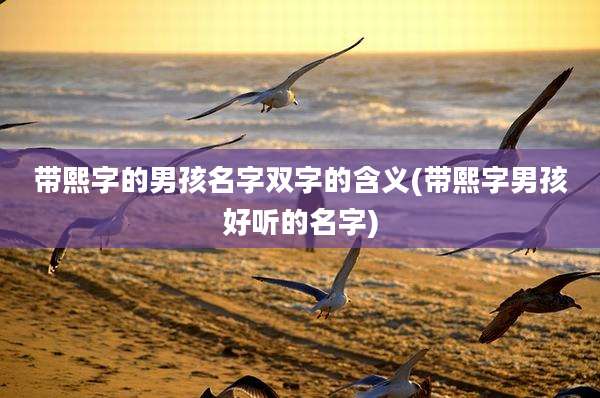 带熙字的男孩名字双字的含义(带熙字男孩好听的名字)