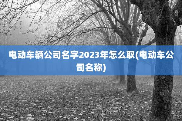 电动车辆公司名字2023年怎么取(电动车公司名称)