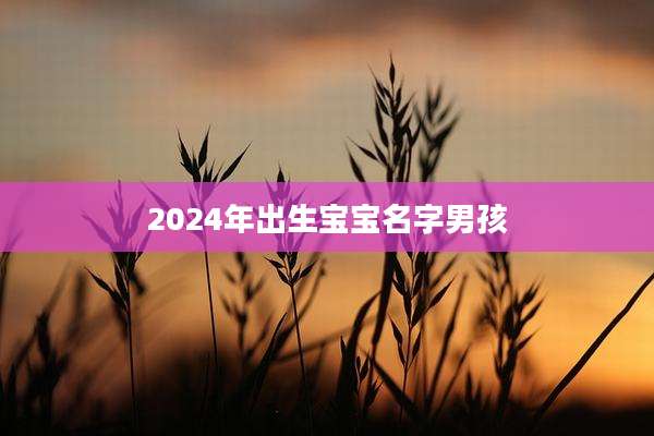 2024年出生宝宝名字男孩