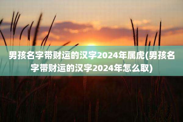 男孩名字带财运的汉字2024年属虎(男孩名字带财运的汉字2024年怎么取)