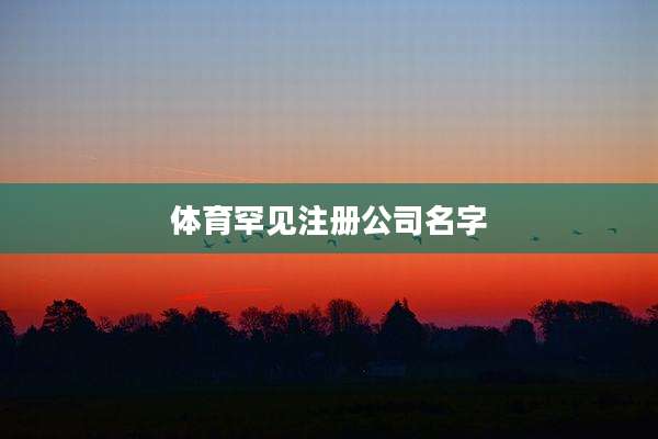 体育罕见注册公司名字
