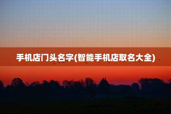 手机店门头名字(智能手机店取名大全)