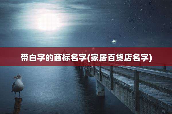 带白字的商标名字(家居百货店名字)