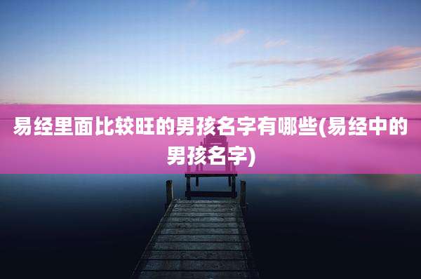 易经里面比较旺的男孩名字有哪些(易经中的男孩名字)