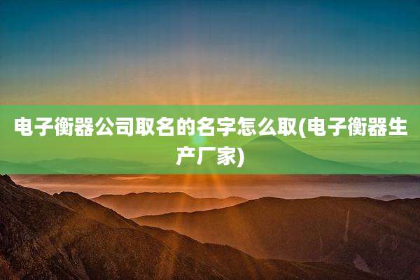 电子衡器公司取名的名字怎么取(电子衡器生产厂家)