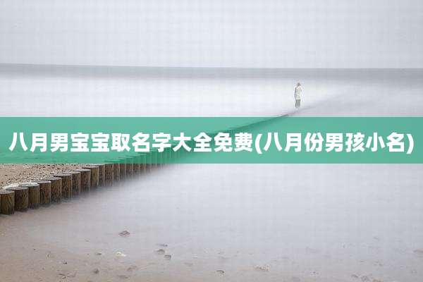八月男宝宝取名字大全免费(八月份男孩小名)