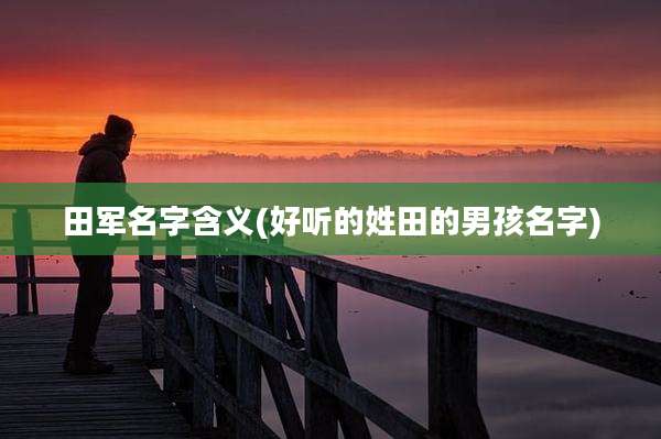 田军名字含义(好听的姓田的男孩名字)