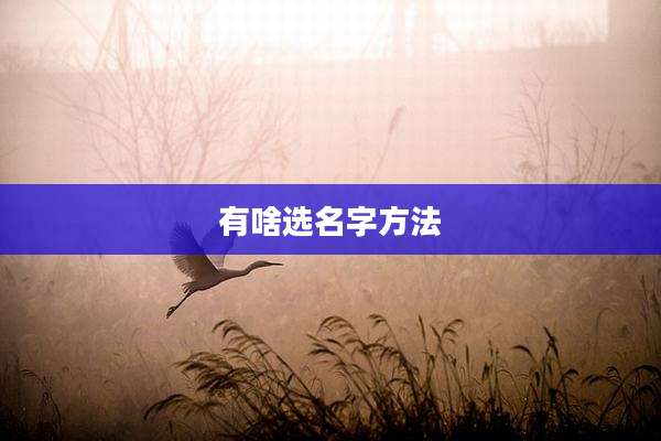 有啥选名字方法