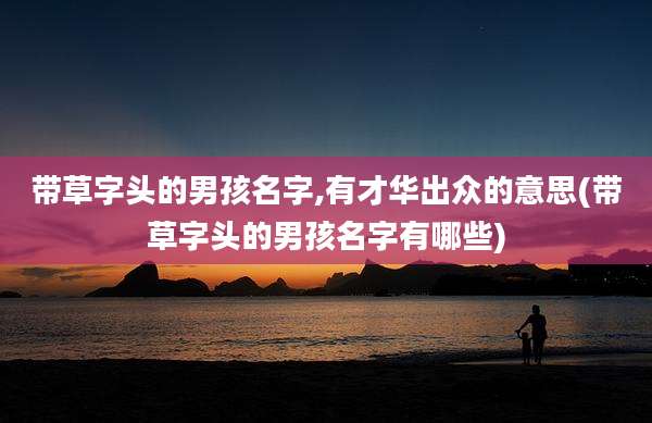 带草字头的男孩名字,有才华出众的意思(带草字头的男孩名字有哪些)
