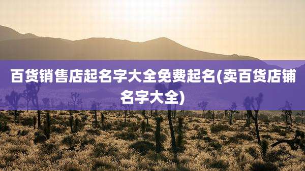 百货销售店起名字大全免费起名(卖百货店铺名字大全)