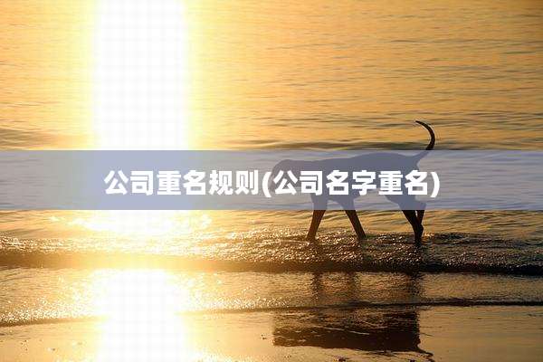 公司重名规则(公司名字重名)