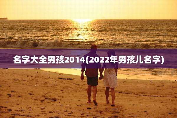 名字大全男孩2014(2022年男孩儿名字)