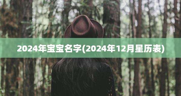 2024年宝宝名字(2024年12月星历表)