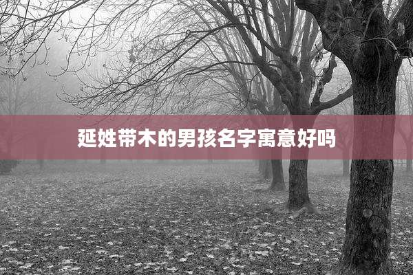 延姓带木的男孩名字寓意好吗