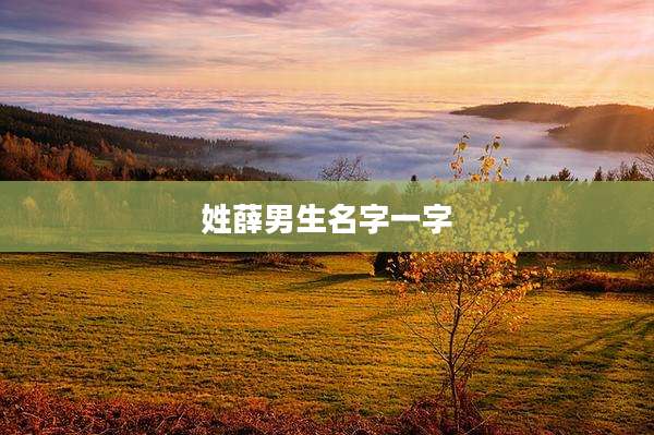 姓薛男生名字一字