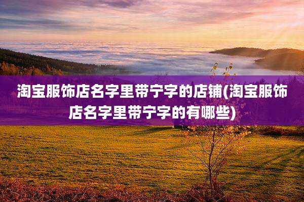 淘宝服饰店名字里带宁字的店铺(淘宝服饰店名字里带宁字的有哪些)