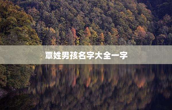 覃姓男孩名字大全一字