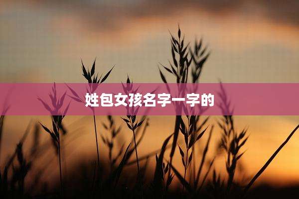 姓包女孩名字一字的
