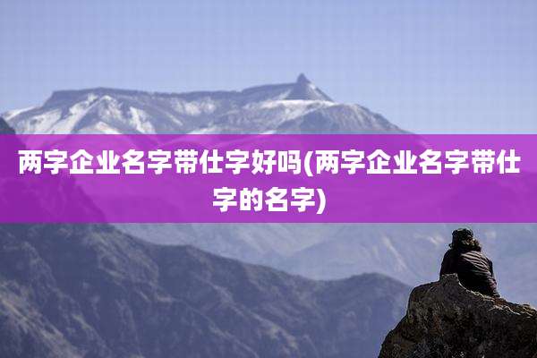 两字企业名字带仕字好吗(两字企业名字带仕字的名字)
