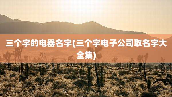 三个字的电器名字(三个字电子公司取名字大全集)