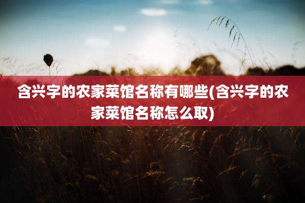 含兴字的农家菜馆名称有哪些(含兴字的农家菜馆名称怎么取)