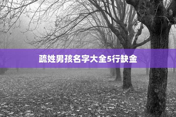 疏姓男孩名字大全5行缺金
