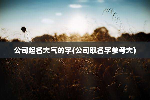 公司起名大气的字(公司取名字参考大)