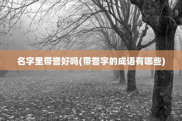 名字里带誉好吗(带誉字的成语有哪些)