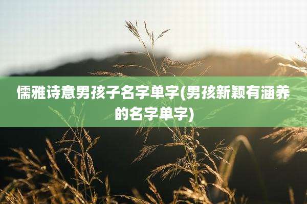儒雅诗意男孩子名字单字(男孩新颖有涵养的名字单字)