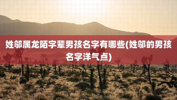 姓邬属龙陌字辈男孩名字有哪些(姓邬的男孩名字洋气点)
