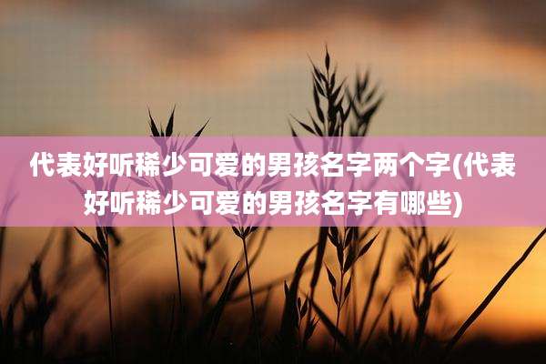 代表好听稀少可爱的男孩名字两个字(代表好听稀少可爱的男孩名字有哪些)