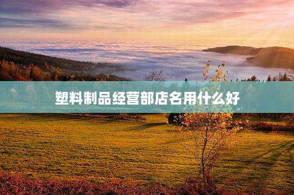 塑料制品经营部店名用什么好