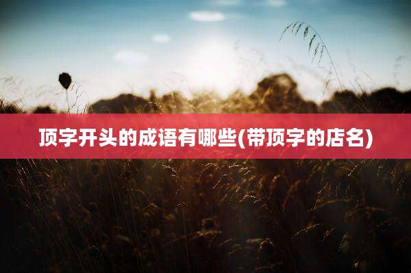 顶字开头的成语有哪些(带顶字的店名)