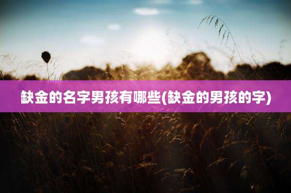 缺金的名字男孩有哪些(缺金的男孩的字)