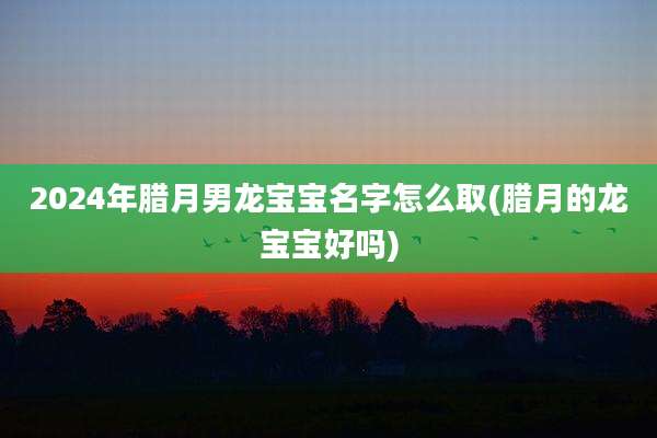2024年腊月男龙宝宝名字怎么取(腊月的龙宝宝好吗)